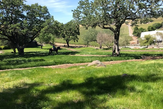 Alko Equestrian Center - Alko Equestrian At Rapp Ranch - Facility - Trails